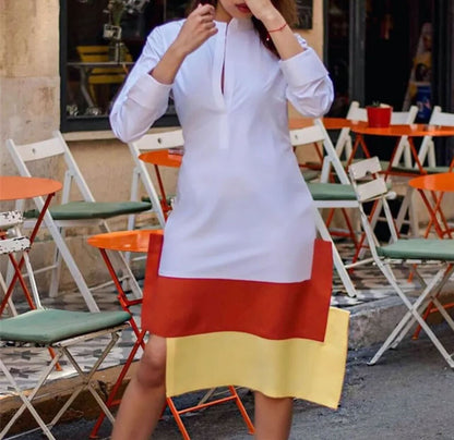 Vestido de bloques de color con corte relajado / AO21 image 1