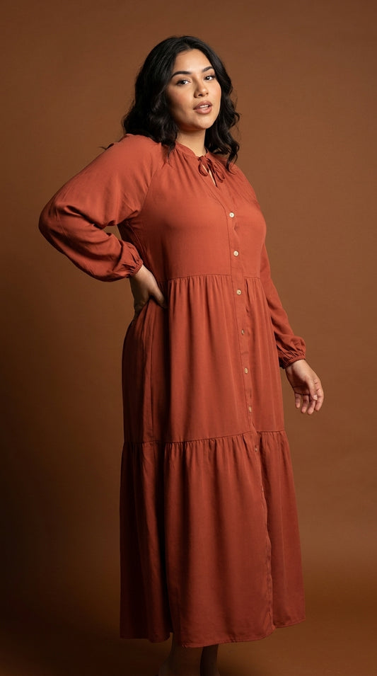Vestido marrón mangas largas / ANV74